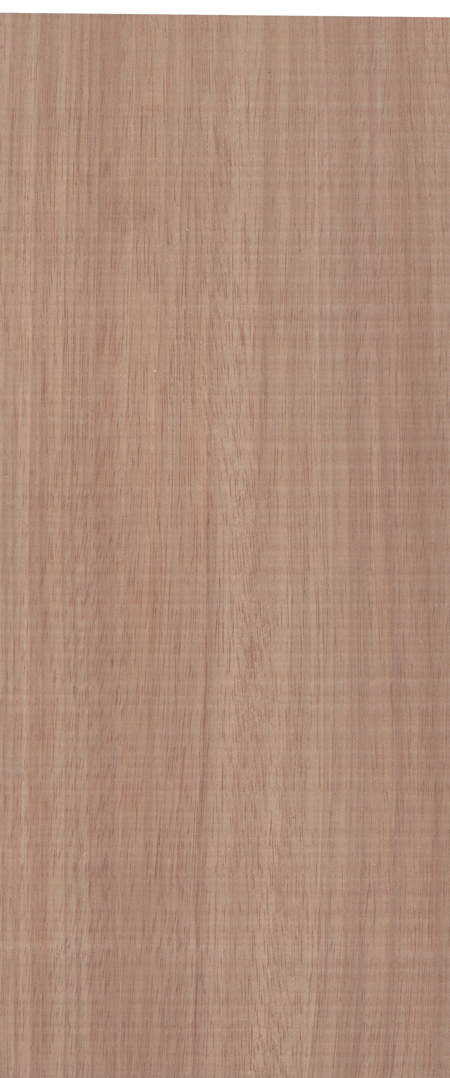 Material 2